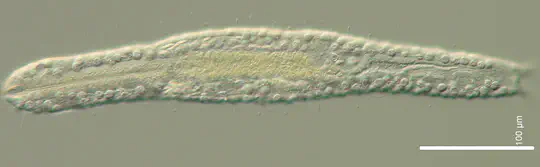 Why is it so exciting to describe species?