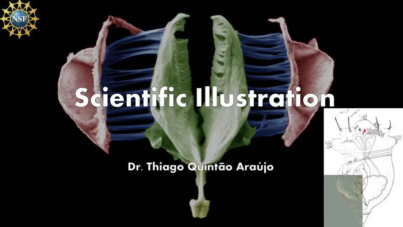 Scientific Illustration